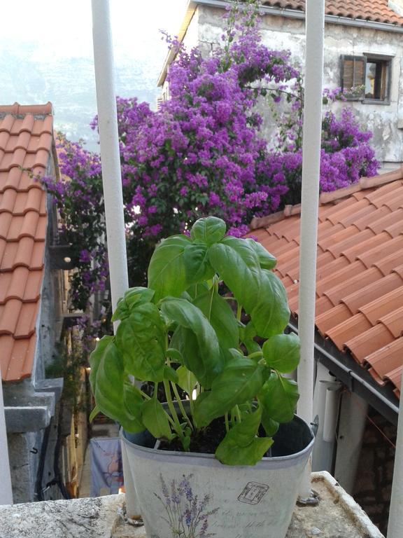 קורצולה Apartments Milion חדר תמונה